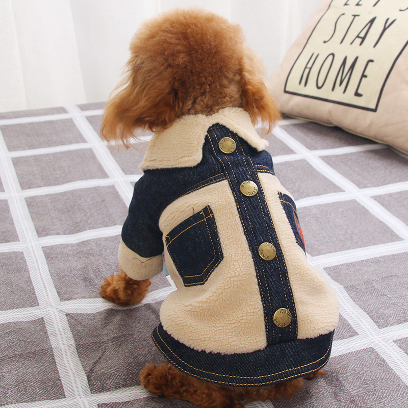 狗狗秋冬装加厚贵宾牛仔棉衣比熊