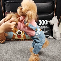 Осенняя одежда для собак Тедди Бим Бумеи