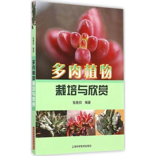 多肉植物欣赏价格 多肉植物欣赏图片 星期三