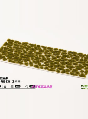 现货 Gamers Grass Dry Green (2mm)  成品  植物 草簇 场景