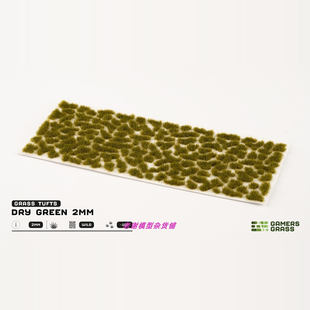 现货 Gamers Grass Dry Green (2mm)  成品  植物 草簇 场景