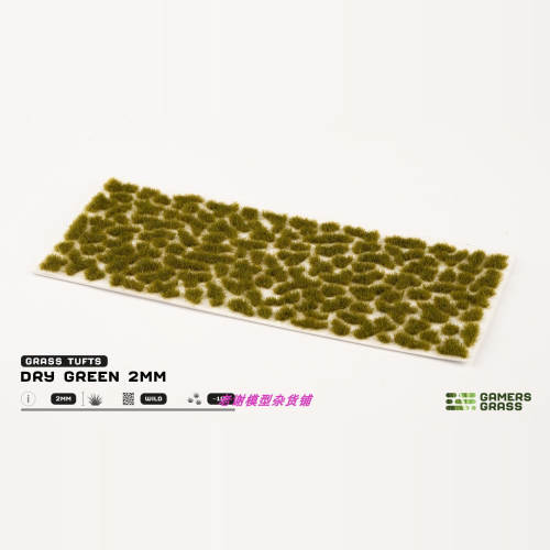 现货 Gamers Grass Dry Green (2mm)  成品  植物 草簇 场景