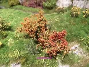 场景 Mininatur Shrubs Assortment 现货 植物 252 Green 草簇