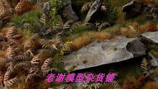 现货 Gamers Grass Dry Bracken  成品 草簇 植株 微缩 模型