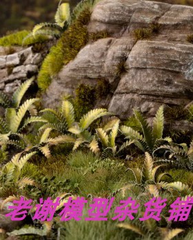 现货 Gamers Grass Deer Fern  成品 草簇 植株 微缩 模型