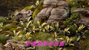 Deer Fern 微缩 Gamers 模型 植株 Grass 草簇 现货 成品