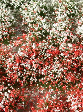 现货 Mininatur Flower tufts summer 726-32S 726-32MS 草簇