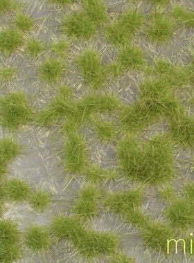 现货 Mininatur Karst tufts spring 737-31S 737-31MS 草簇 植株