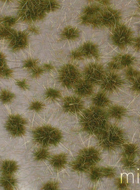 Mininatur Karst tufts early fall  737-33S 737-33MS 草簇