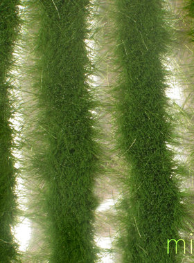 现货 Mininatur Grass strips summer 728-32S 1:45, 1:32 草簇