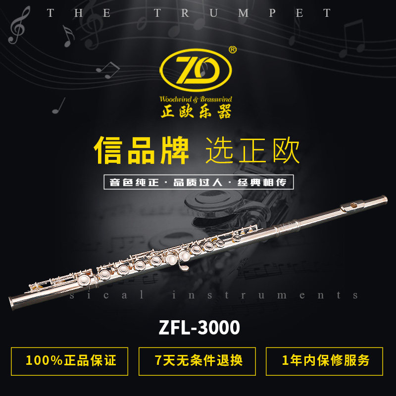 正欧闭孔白铜高级专业演长笛乐器