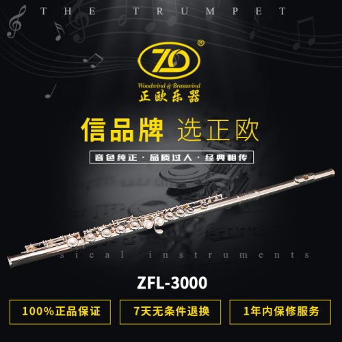 正欧闭孔白铜高级专业演长笛乐器