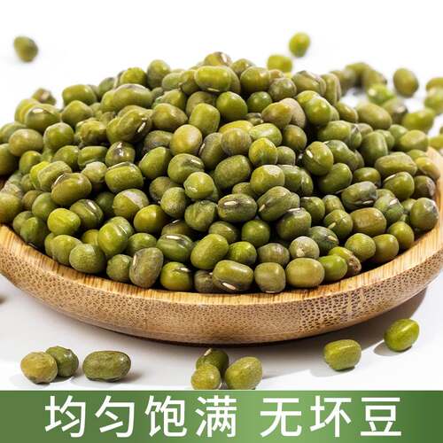 新款 新绿豆大颗粒大明绿豆散装5斤布袋杂粮绿豆汤原材料
