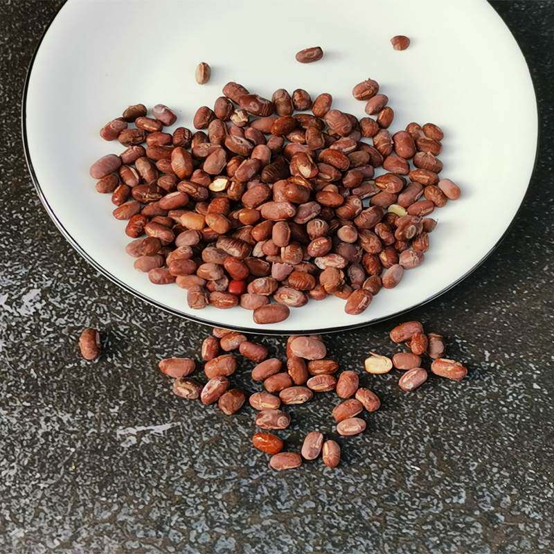 新款 冻干红豆粒脱水即食脱水蔬菜燕麦烘焙食品复合原料蔬果干/香