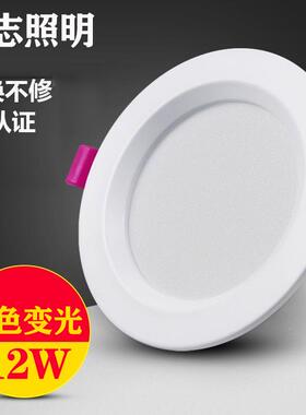 筒灯led天花灯嵌入式三色4寸射灯5W7W12W洞灯2.5寸8公分吊顶孔灯