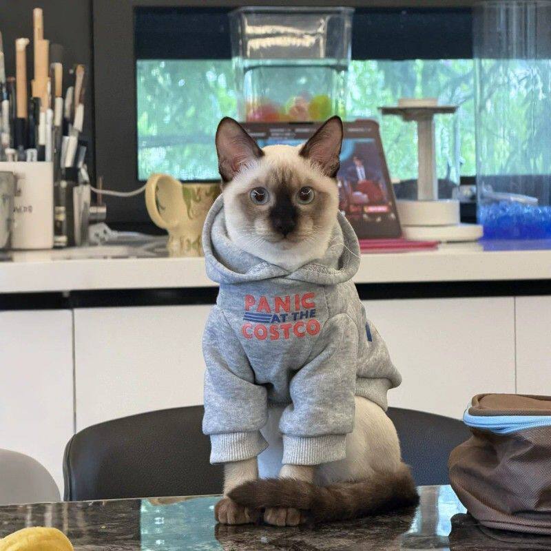 暹罗猫猫咪衣服秋冬加厚保暖卫衣宠物潮牌复古帽衫小型犬狗狗外套
