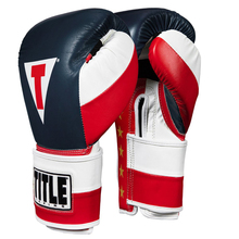 TITLE PRIDE SUPER BAG GLOVES 拳套 拳击手套 泰拳 MMA