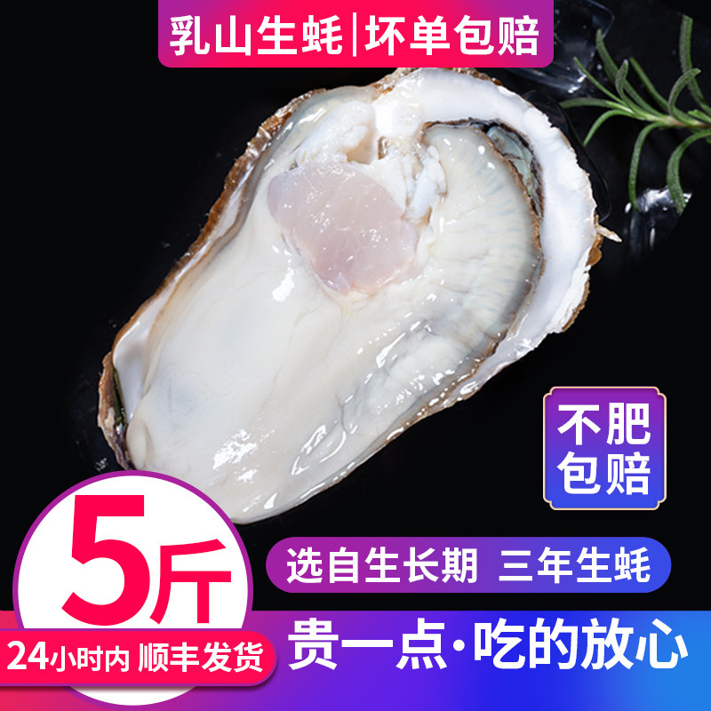乳山生蚝鲜活5斤海鲜水产新鲜海蛎子带壳无沙牡蛎超特大顺丰包邮