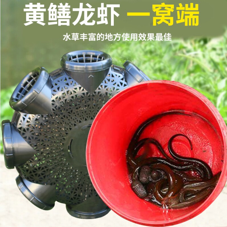 八孔黄鳝笼新款鳝鱼笼子塑料捕鳝专用神器泥鳅笼鱼虾笼倒须捕鱼笼