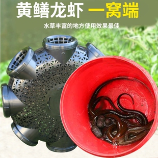 八孔黄鳝笼新款鳝鱼笼子塑料捕鳝专用神器泥鳅笼鱼虾笼倒须捕鱼笼