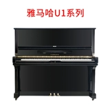 Шесть лет -Магазин Три цвета Шанхайской аренды пианино пианино второй второй прокат пианино Yamaha