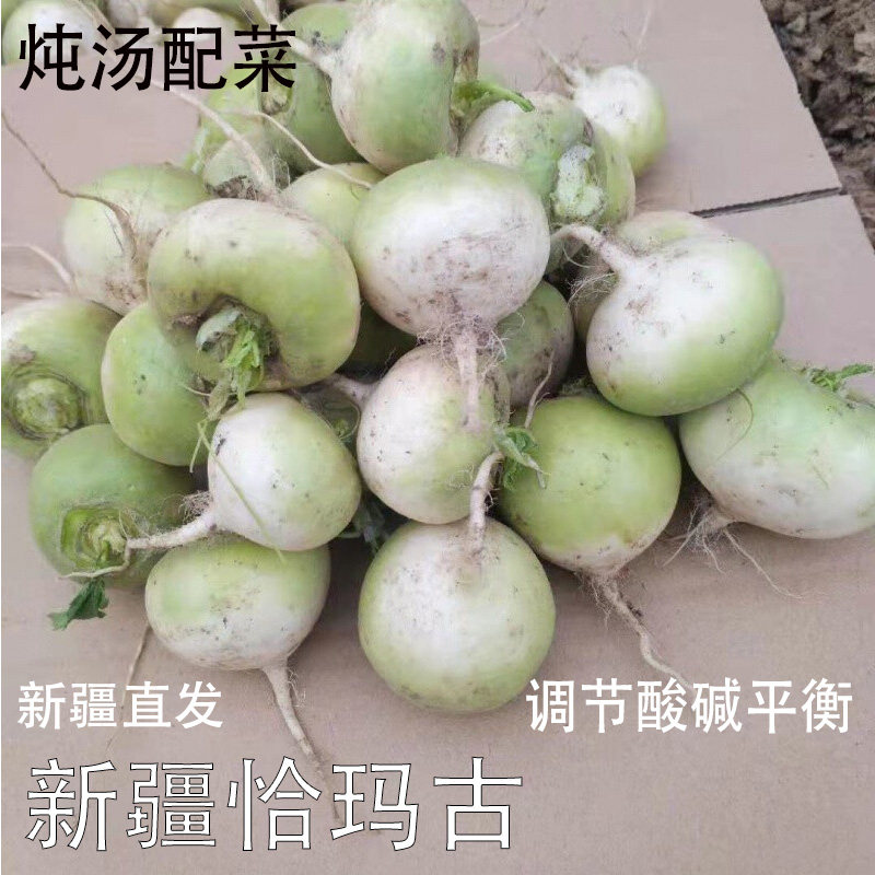 新疆恰玛古新鲜蔬菜碱性食物5斤调节酸碱平衡非萝卜带泥发货