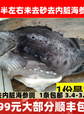 冷冻海鲜鱼类 北极海参斑 斑鱼 新鲜海鱼 美容佳品3.5斤左右 包邮