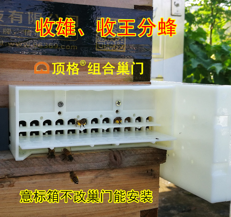 顶格组合巢门蜜蜂自动收王器蜂箱分蜂收王收蜂防跑防逃器蜂具厂家|msdalam kategori Penternakan haiwan/bekalan pertanian, Penternakan haiwan/peralatan pertanian, Penternakan haiwan/peralatan pertanian - dari Buy2taobao.com untuk memberikan perkhidmatan ejen Taobao profesional membeli