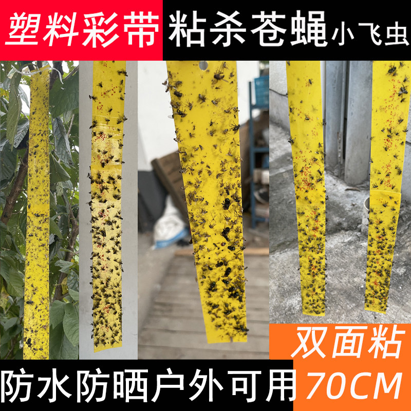 粘蝇彩带粘蝇纸苍蝇贴去除小飞虫蝇子贴家用厨房屋顶驱苍蝇的神器