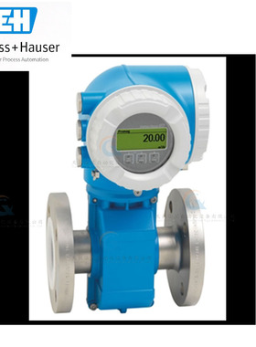 电磁流量计冷热量计能量计E+H恩德斯豪斯Proline Promag5W4C 5P3B