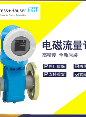 电磁流量计冷热量计能量计E+H恩德斯豪斯Proline Promag5WBB 5W4C