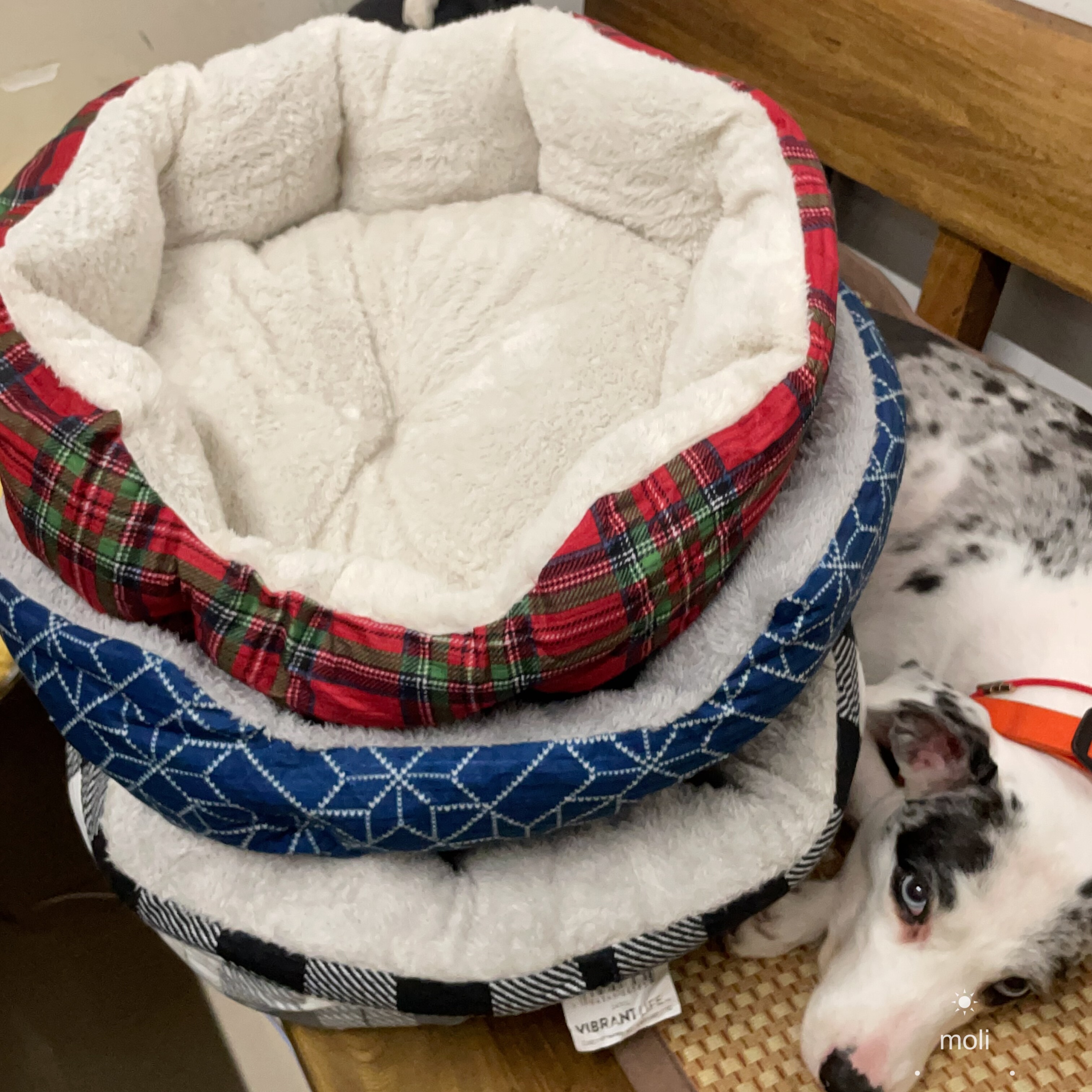猫窝四季通用小型犬狗狗床狗安全感窝睡觉的窝宠物狗狗睡窝
