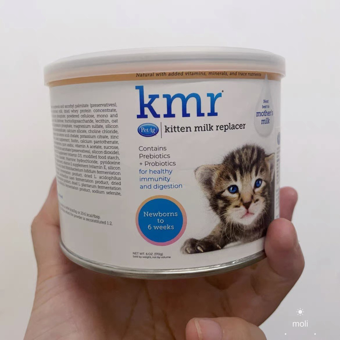 倍泰吉倍酷猫奶粉幼猫奶粉进口图片