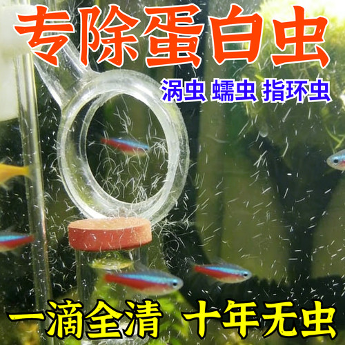 鱼缸除蛋白虫清除剂龟草缸驱除剂神器涡虫观赏鱼去线虫肠虫剂