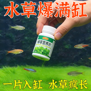 水草营养片肥鱼虾营养片生长肥料不伤鱼缸专用基肥片鲜活草爆满缸