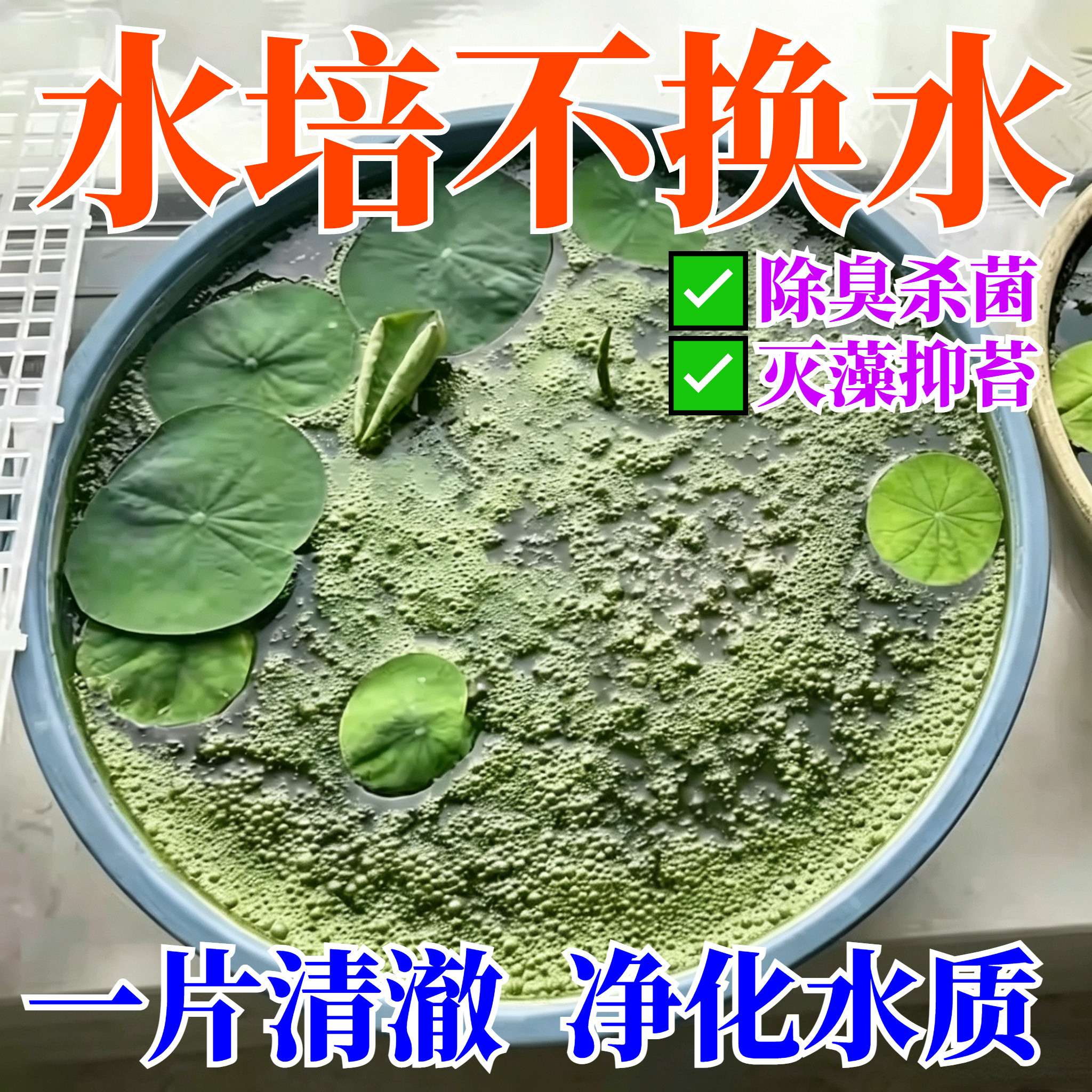 水培植物净水片除臭杀菌消毒青苔除藻净水剂碗莲睡莲醒鲜花保鲜剂