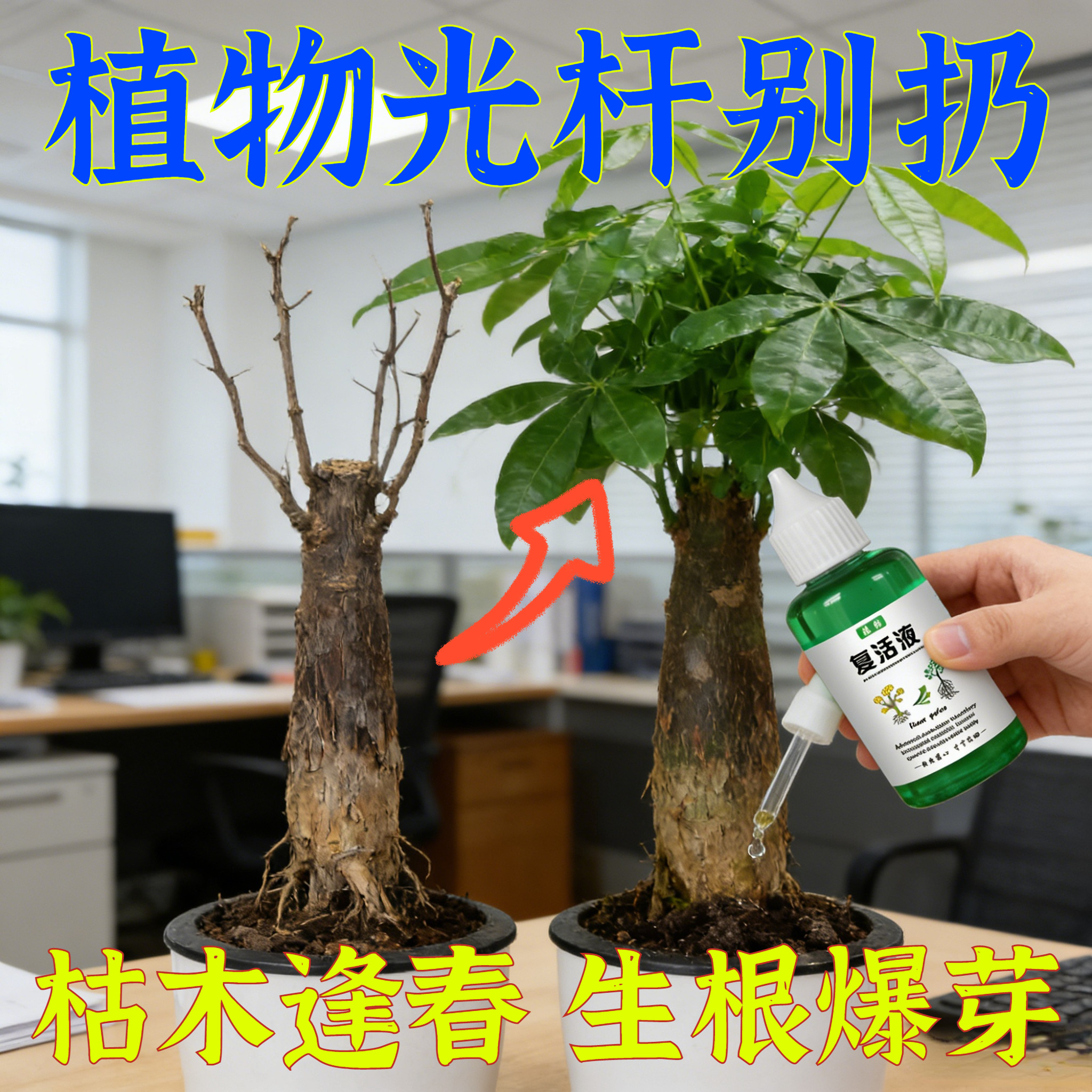 黑科技复活液针对发黄掉叶植物复活液园丁复活液花卉复活液,鲜花速递/花卉仿真/绿植园艺,家庭园艺肥料,淘宝优惠券,粉丝福利购,淘宝优惠卷