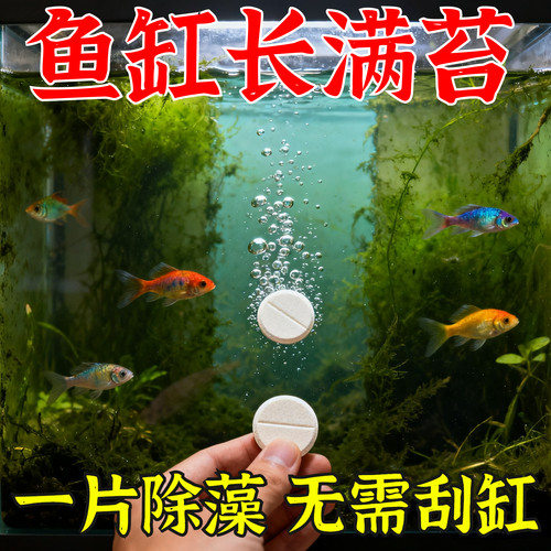 鱼缸除藻片去苔剂强效鱼缸壁清除绿藻褐丝藻黑毛藻神器青苔净水片