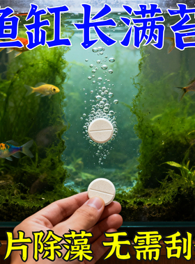 鱼缸除藻片去苔剂强效鱼缸壁清除绿藻褐丝藻黑毛藻神器青苔净水片