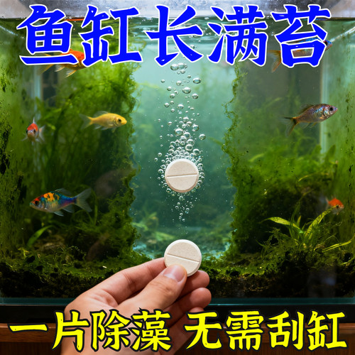 鱼缸除藻片去苔剂强效鱼缸壁清除绿藻褐丝藻黑毛藻神器青苔净水片