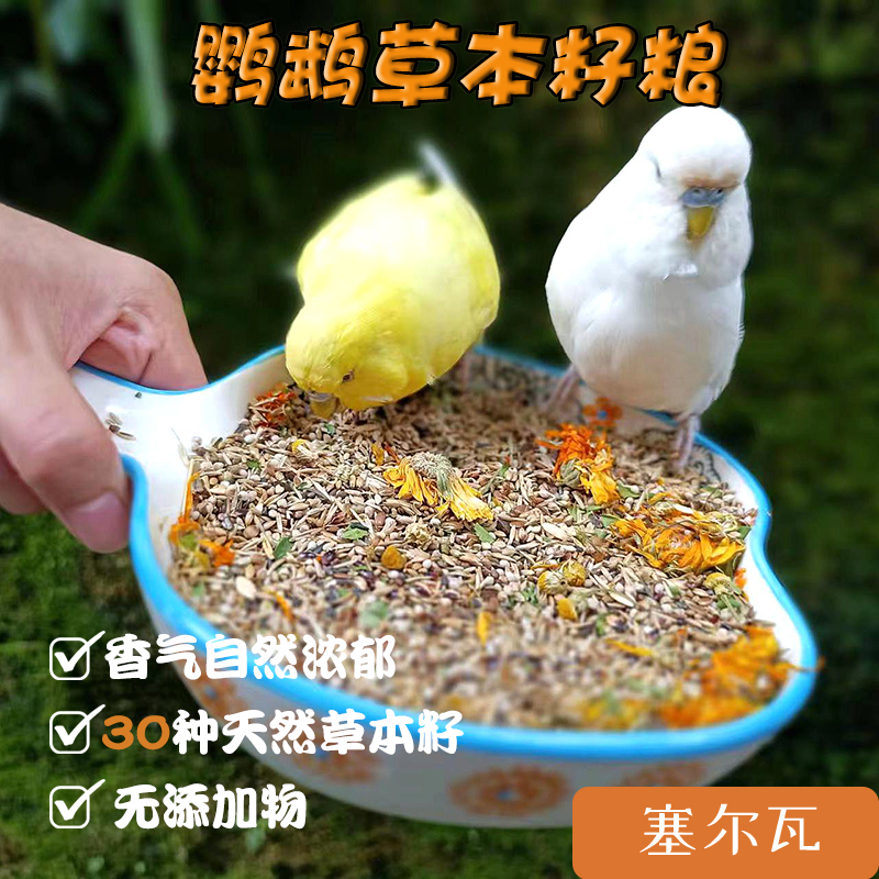 塞爾瓦天然草本種子糧玄鳳牡丹虎皮鸚鵡文鳥零食包補充營養(yǎng)鳥食料
