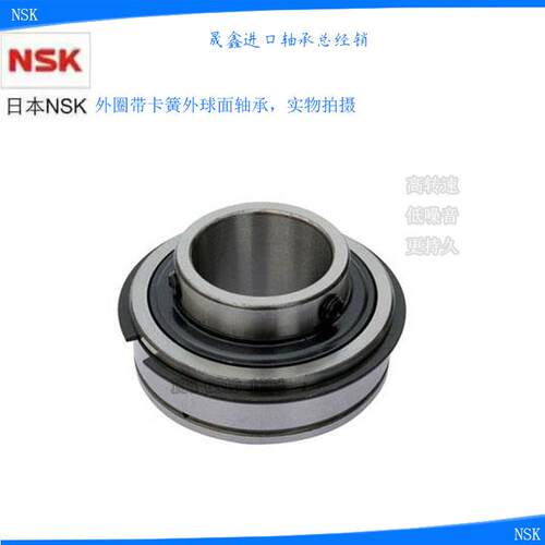 进口NSK外球面轴承ER SER204 205 206 207 208 209 210 211 212