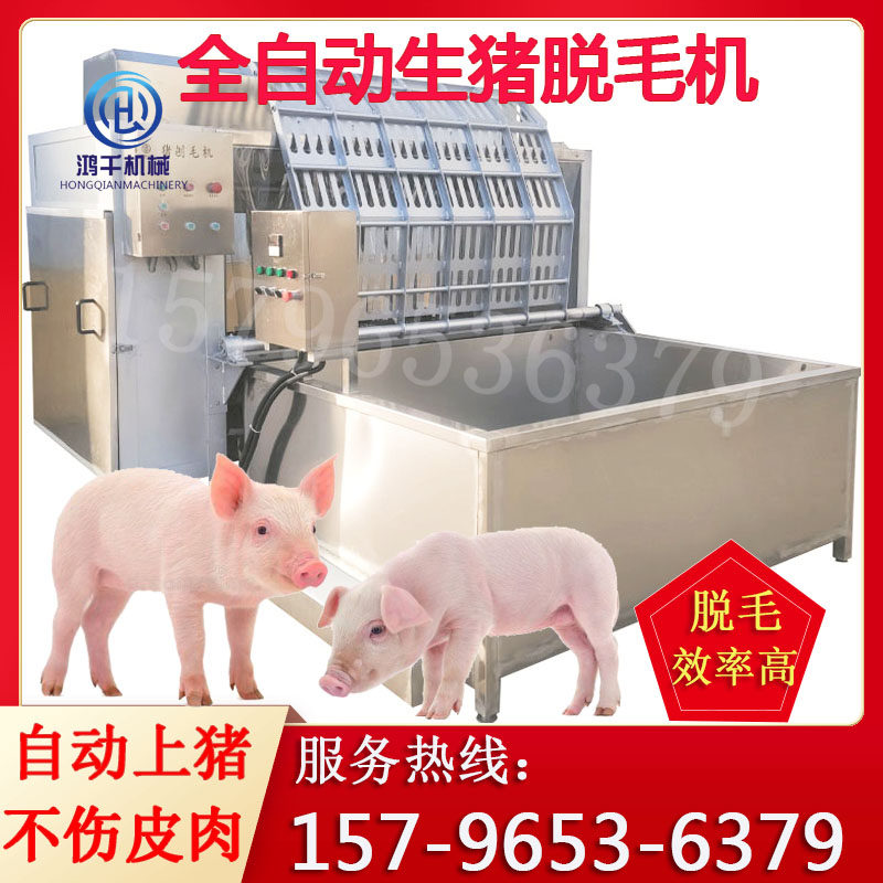 新款节能配套电加热恒温烫猪池可定制 大型屠宰去毛器 生猪刨毛机
