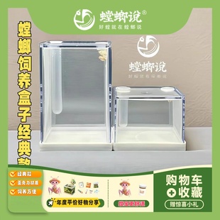 螳螂饲经典款昆虫饲养盒爬虫饲养盒饲养盒树蛙饲养盒螳螂说