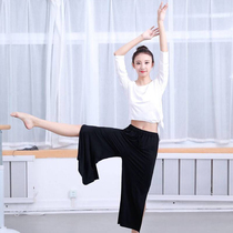 Modern dance pants loose modal wide leg pants national dance jazz dance classic dance pants pants training suit