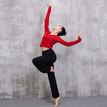 舞蹈服装练功服女修身长袖拇指扣上衣现代舞古典舞演出形体服新款