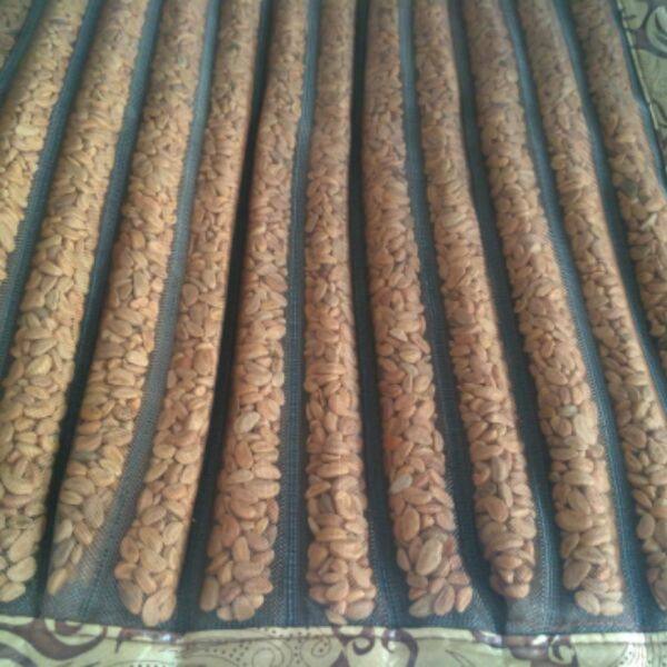 Coussin Manga - Ref 2688023 Image 3