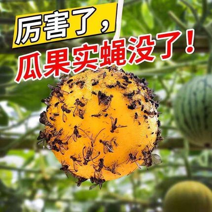 粘虫球诱蝇球瓜果实蝇诱捕器针锋果园果树黄球果蝇球柑橘大实蝇