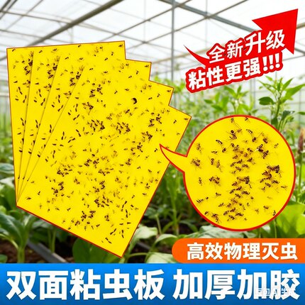 粘虫板黄板双面大棚粘虫板果蝇果园果树诱虫板蔬菜防虫贴蓟马蓝板