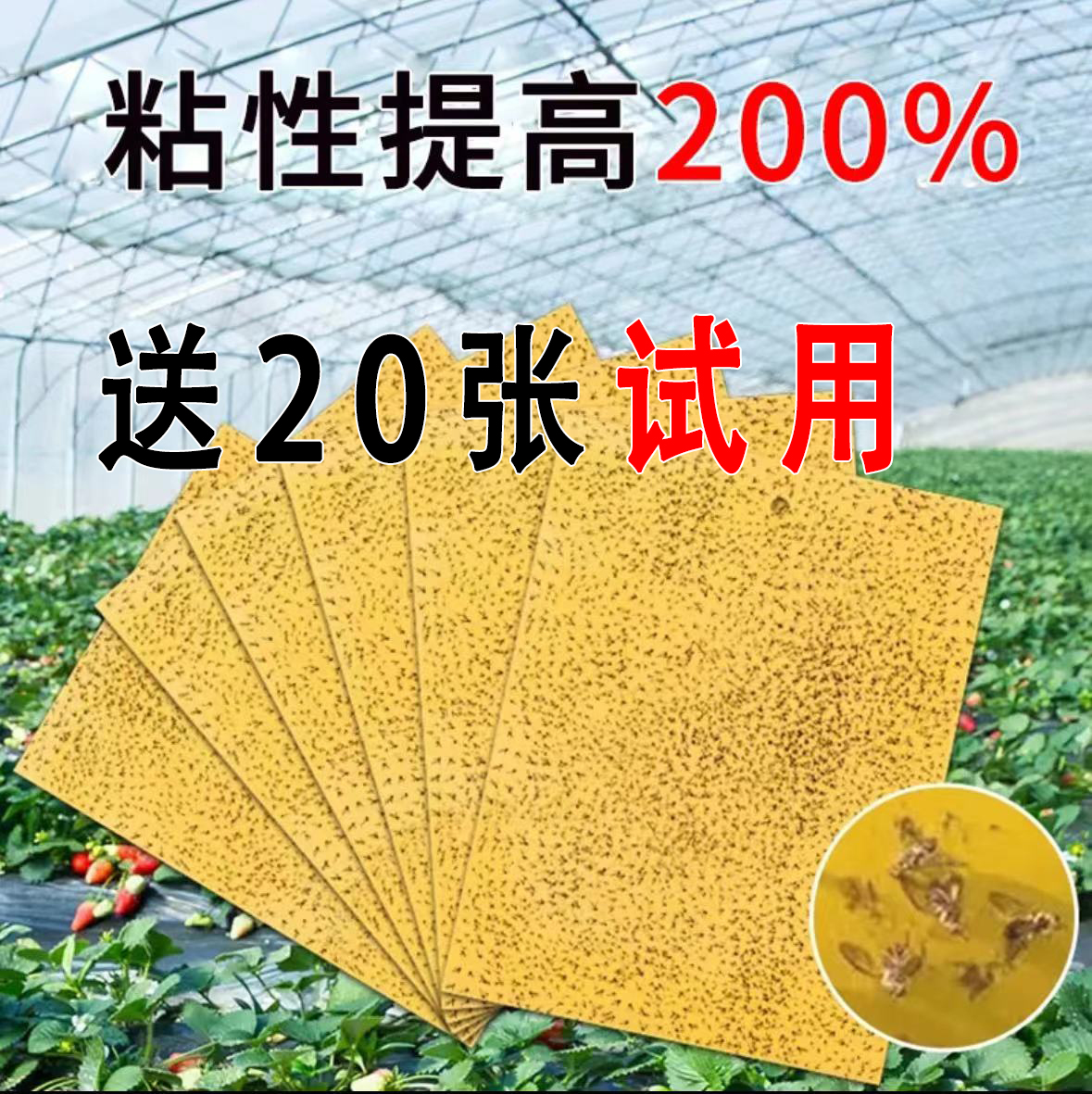 粘虫板黄板双面大棚果园家用蔬菜防虫贴蓝色针锋贴果蝇蓝板庭院
